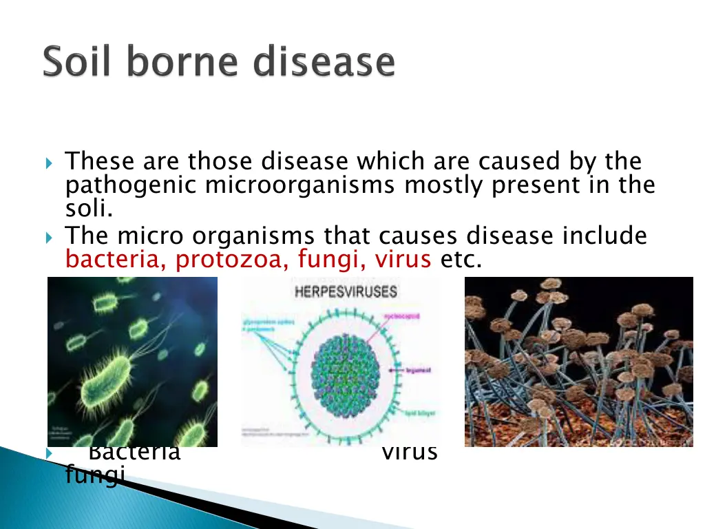 these are those disease which are caused