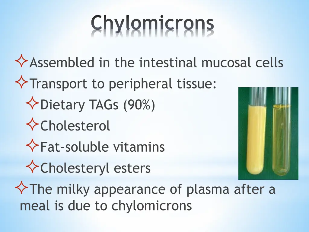 chylomicrons