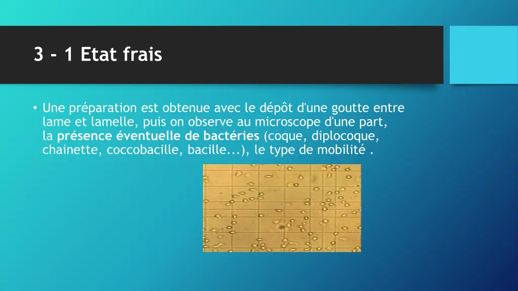 3 1 etat frais 1