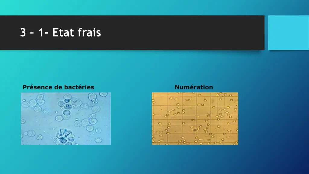 3 1 etat frais