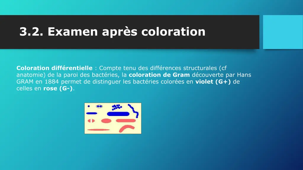 3 2 examen apr s coloration 2
