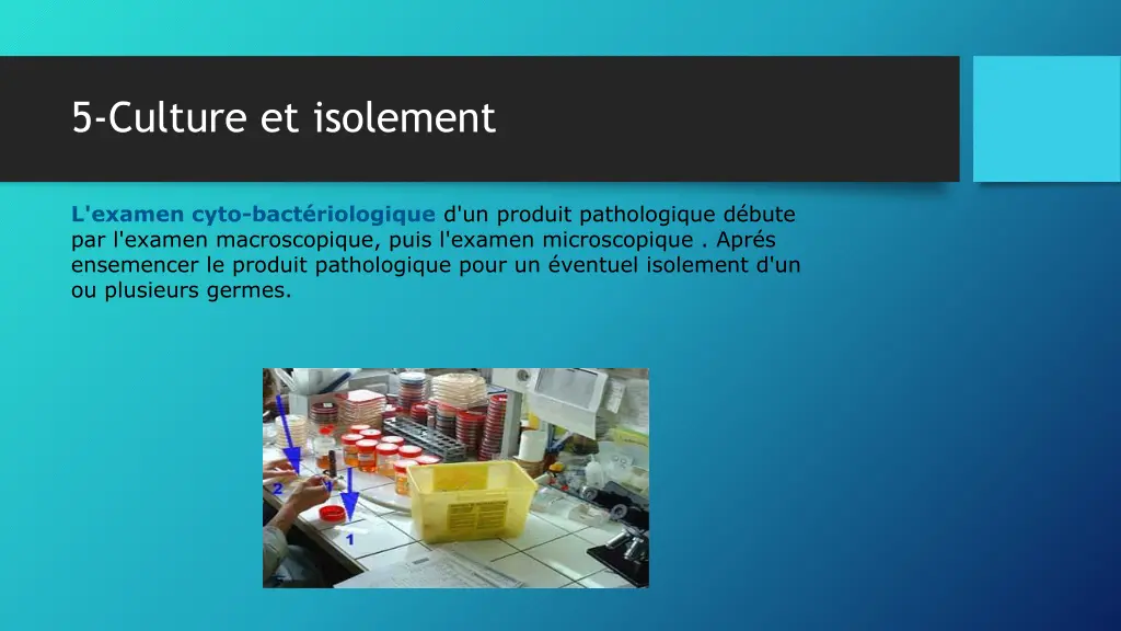 5 culture et isolement