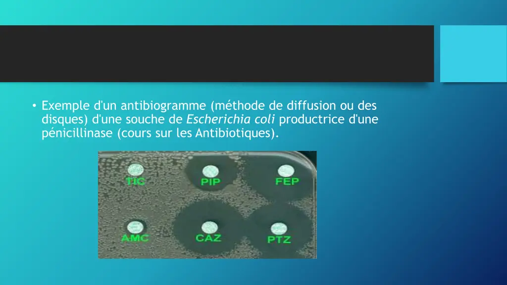 exemple d un antibiogramme m thode de diffusion