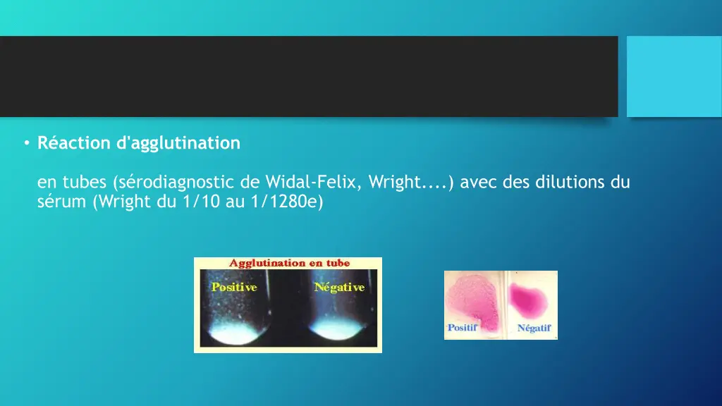 r action d agglutination