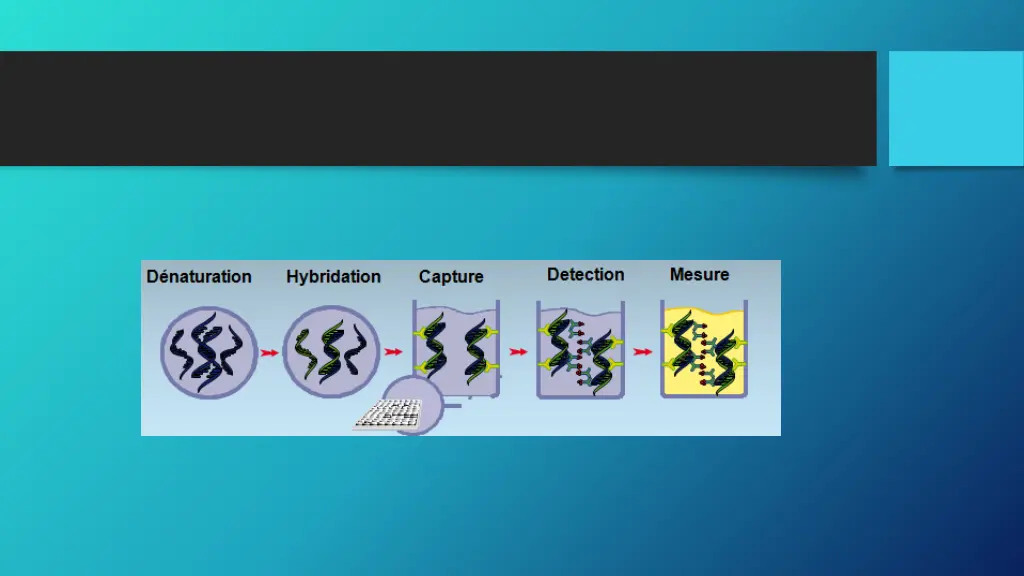 slide34