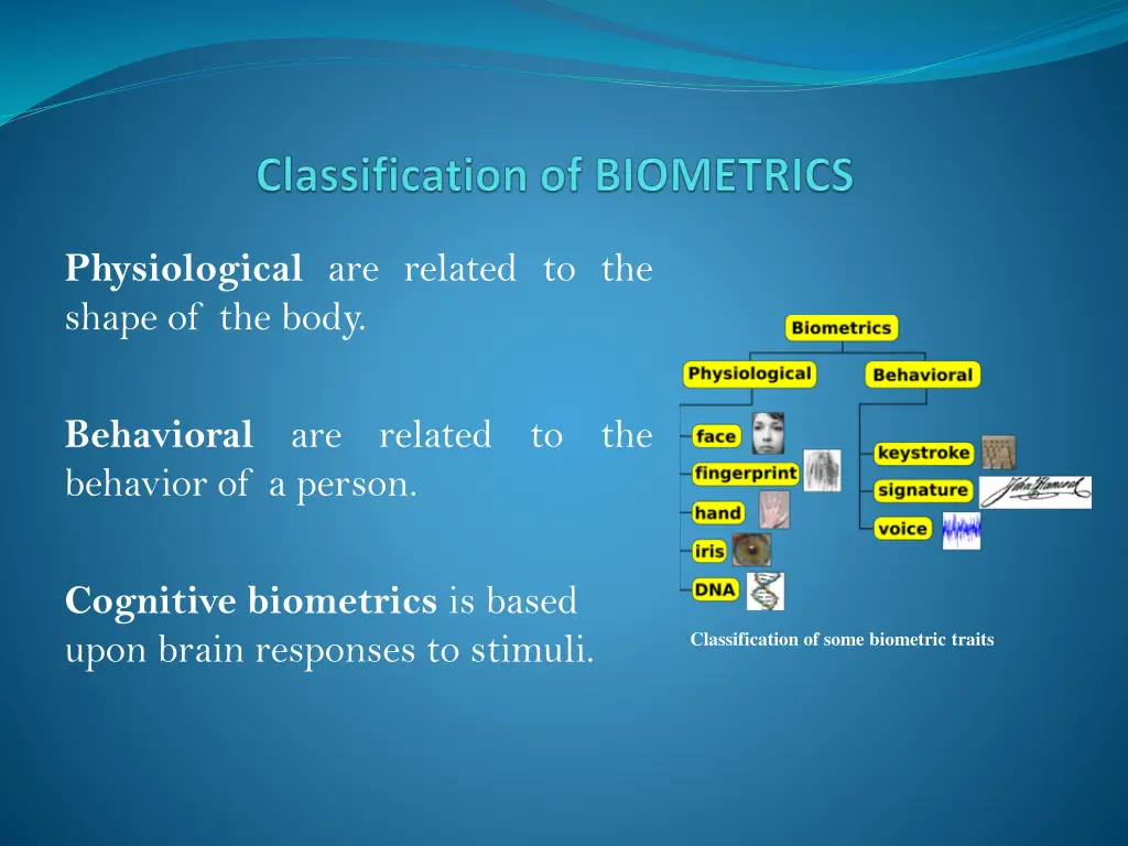 physiological are related to the shape of the body