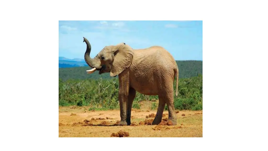 slide7