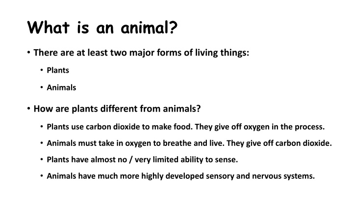 what is an animal