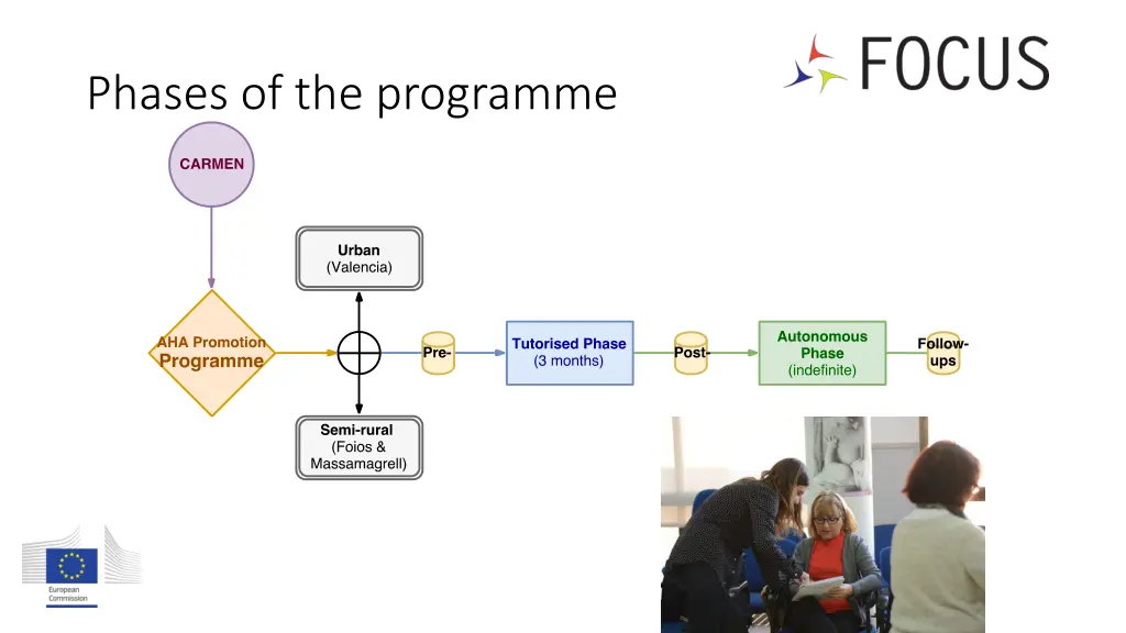 phases of the programme