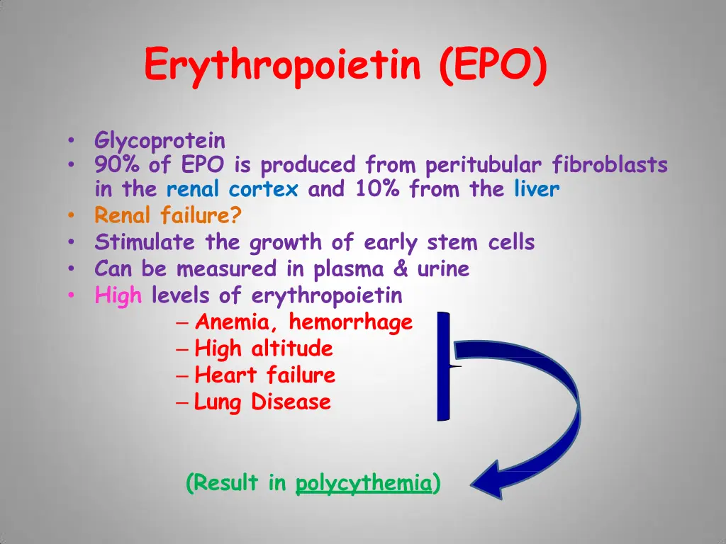erythropoietin epo