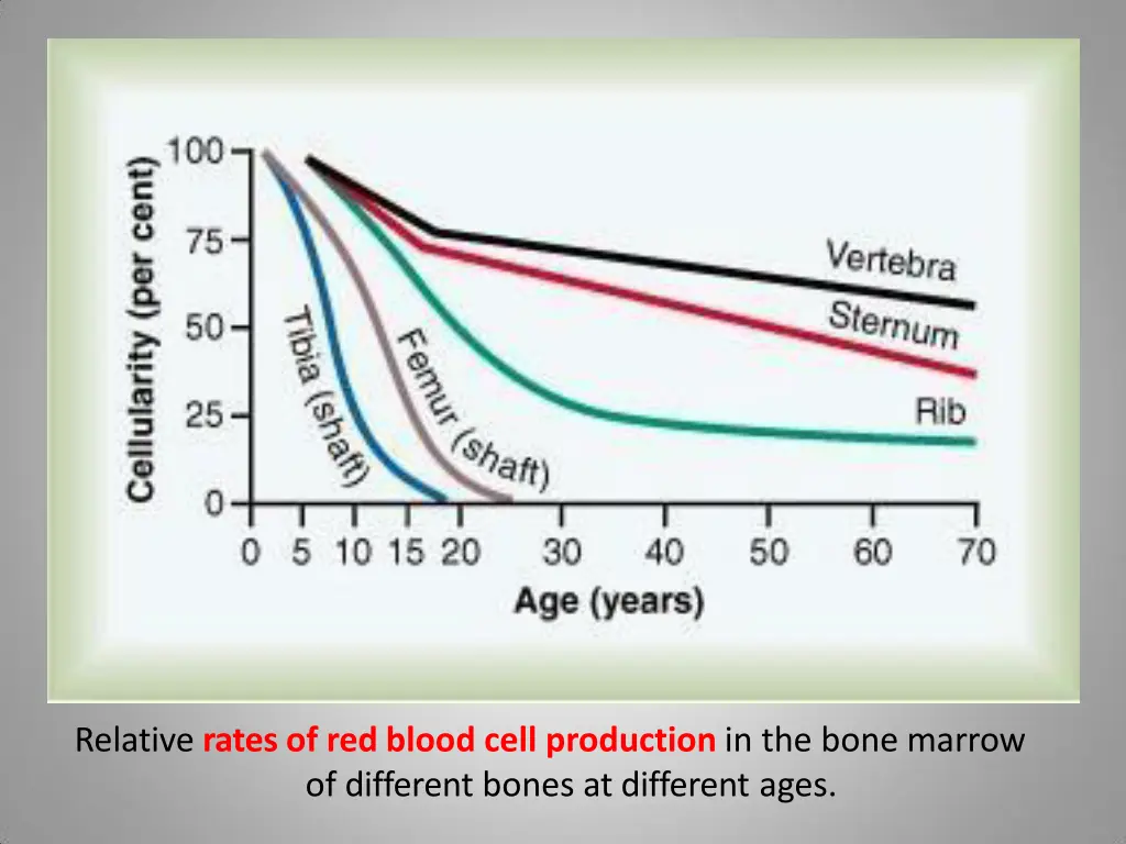 relative rates of red blood cell production