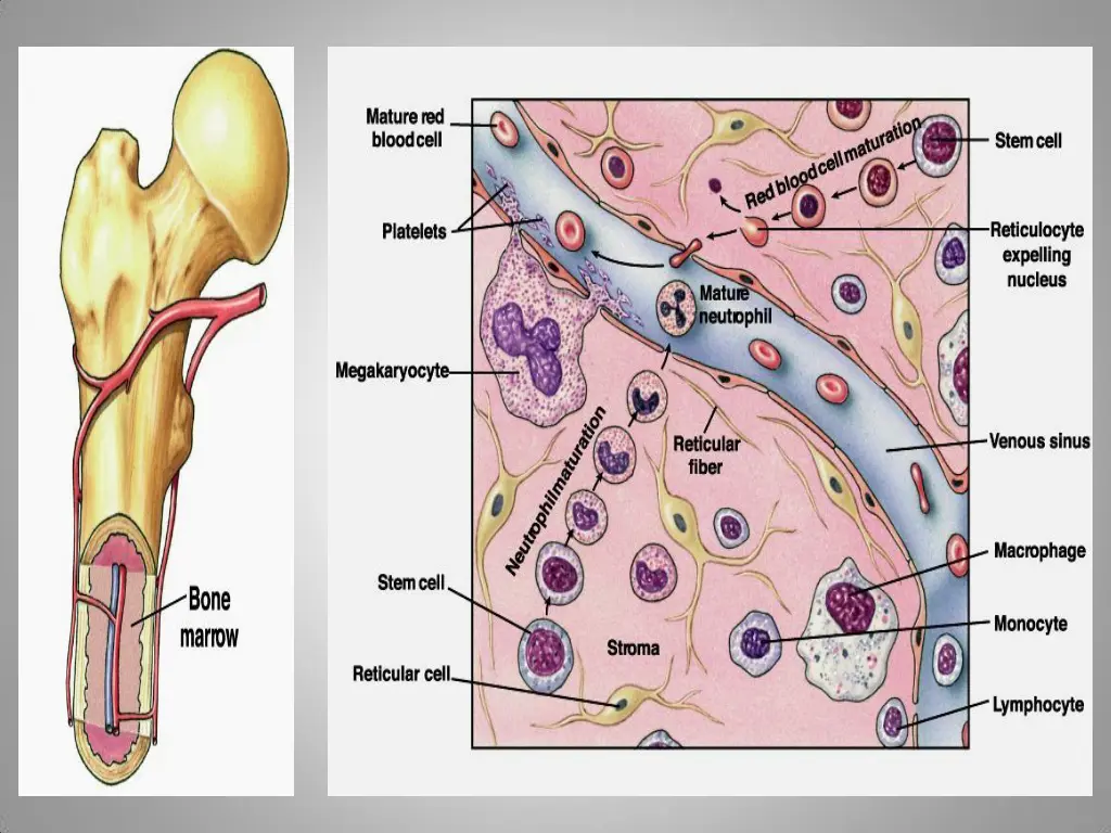 slide21