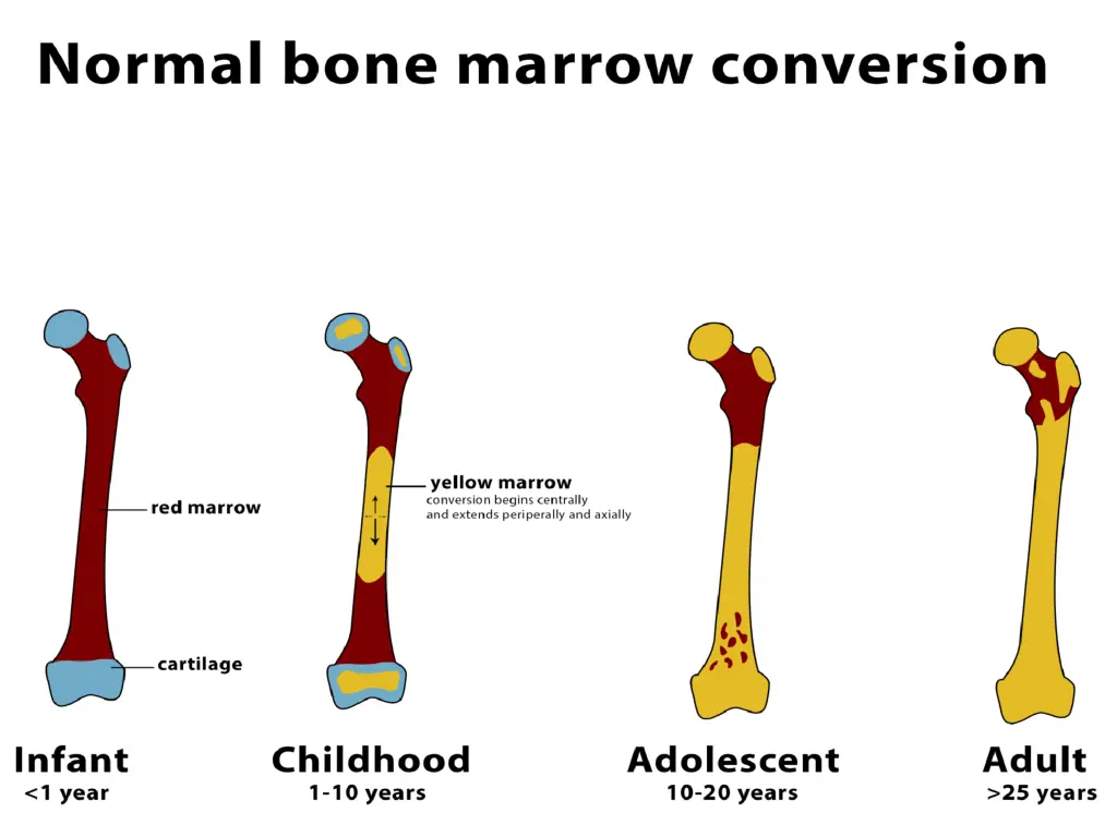 slide8