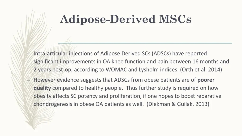 adipose derived mscs