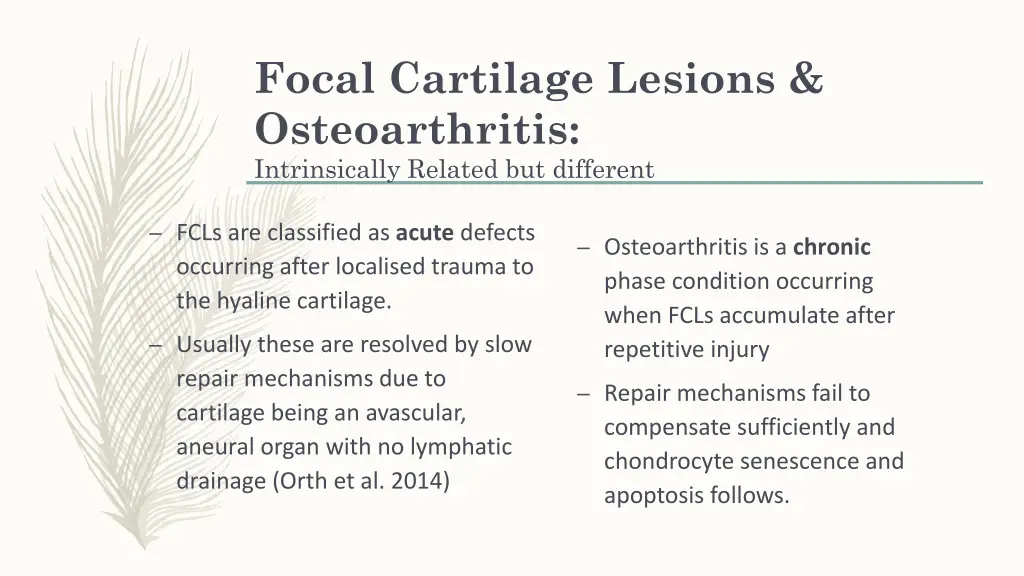 focal cartilage lesions osteoarthritis