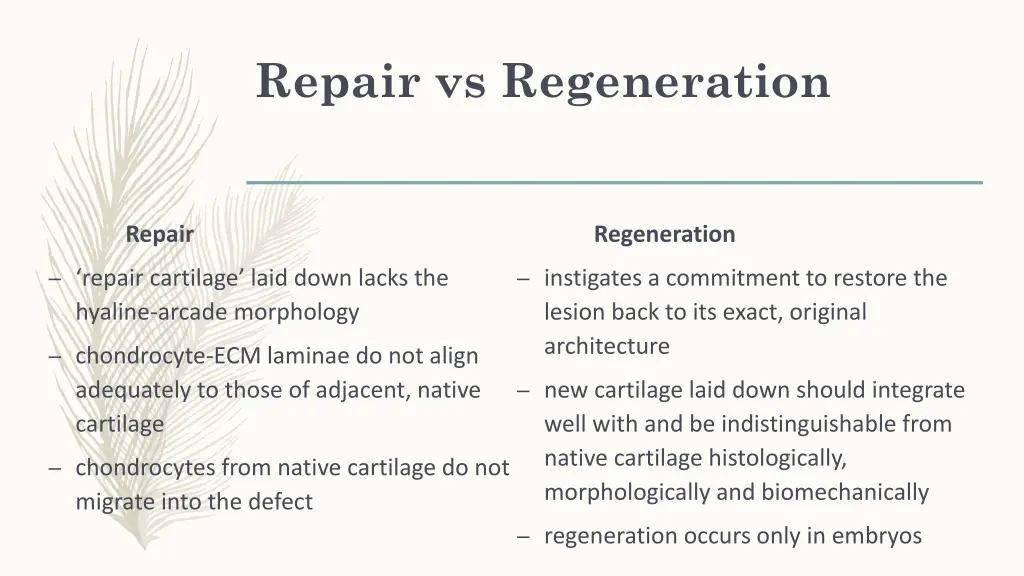 repair vs regeneration