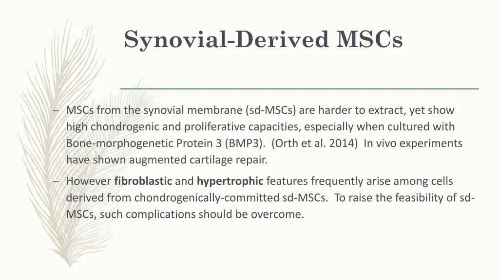 synovial derived mscs