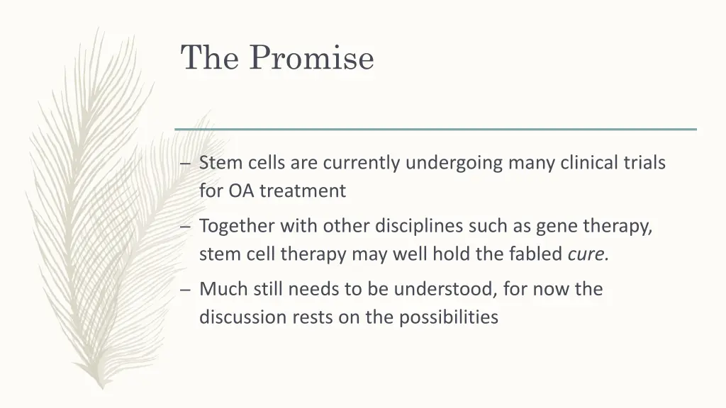 the promise