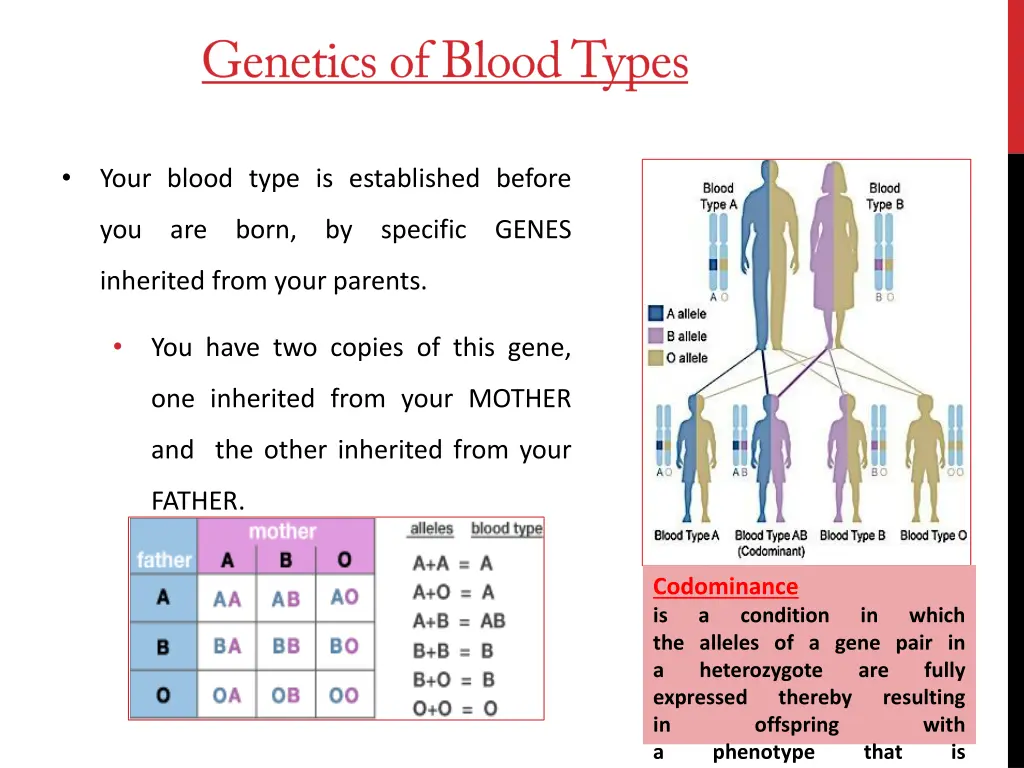 slide6