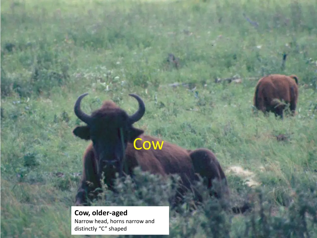 slide14