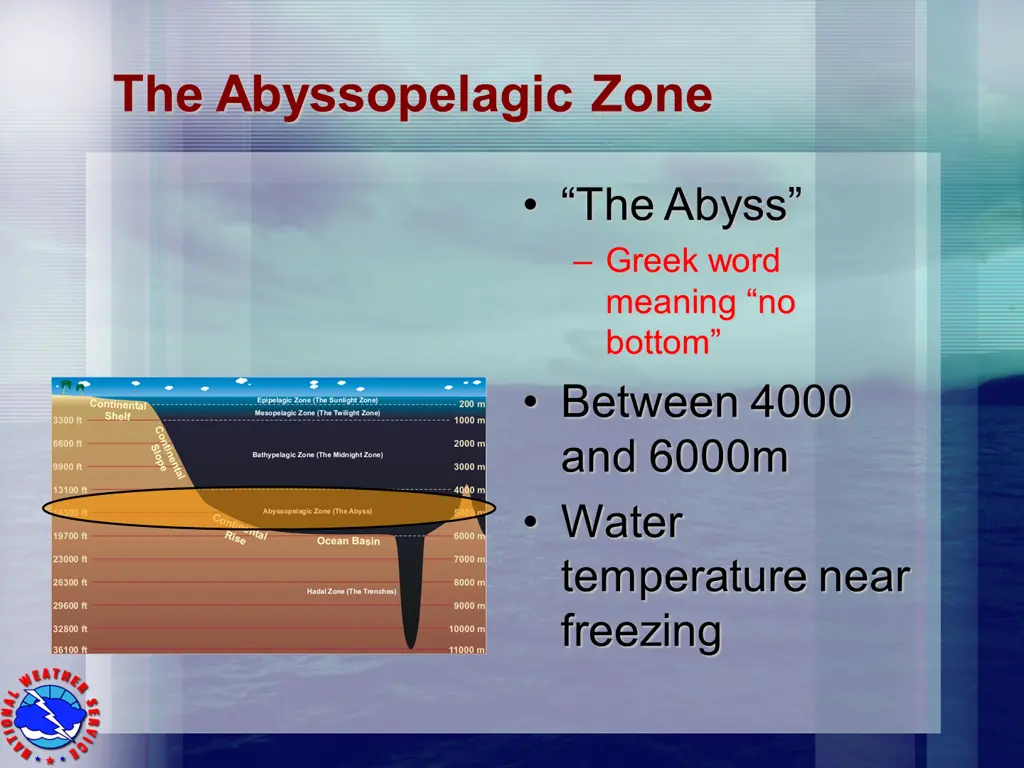 the abyssopelagic zone