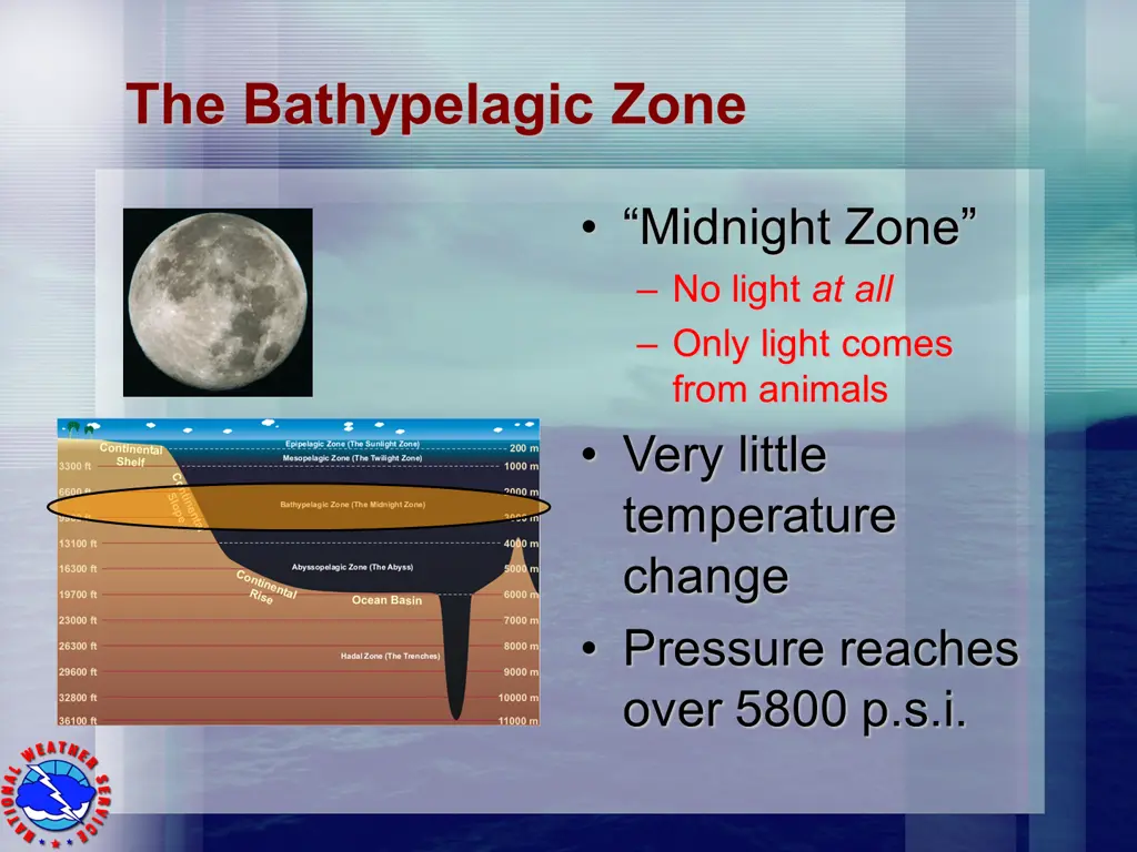the bathypelagic zone