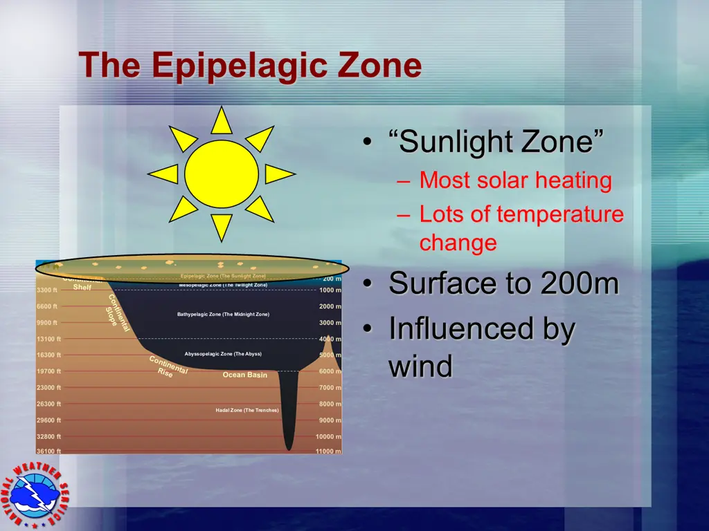 the epipelagic zone