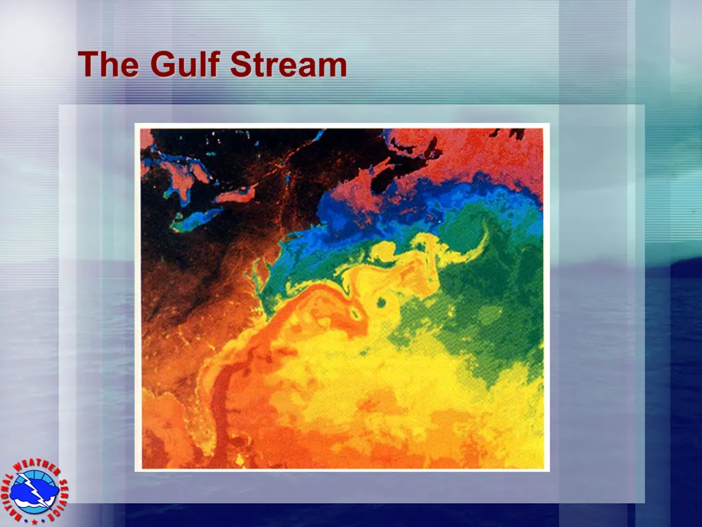 the gulf stream