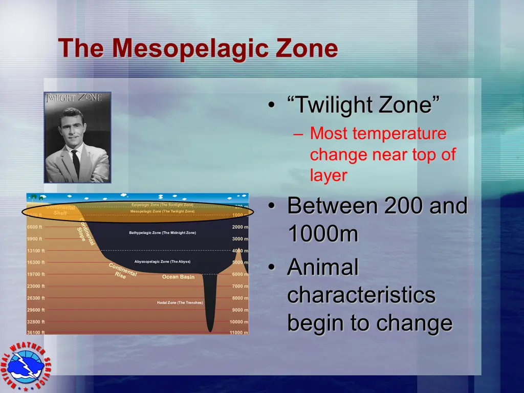 the mesopelagic zone