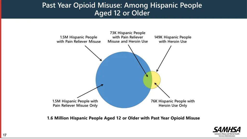 past year opioid misuse among hispanic people