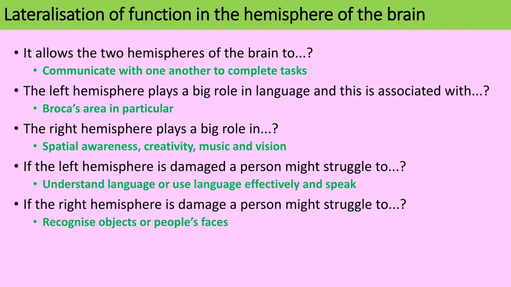 lateralisation of function in the hemisphere 2