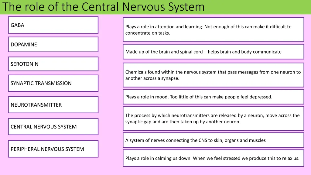 the role of the central nervous system