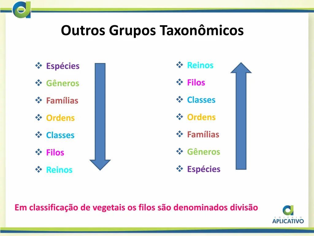 outros grupos taxon micos 1