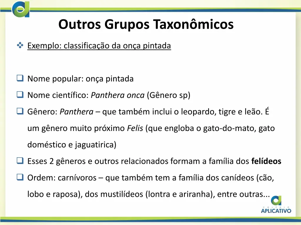 outros grupos taxon micos 2