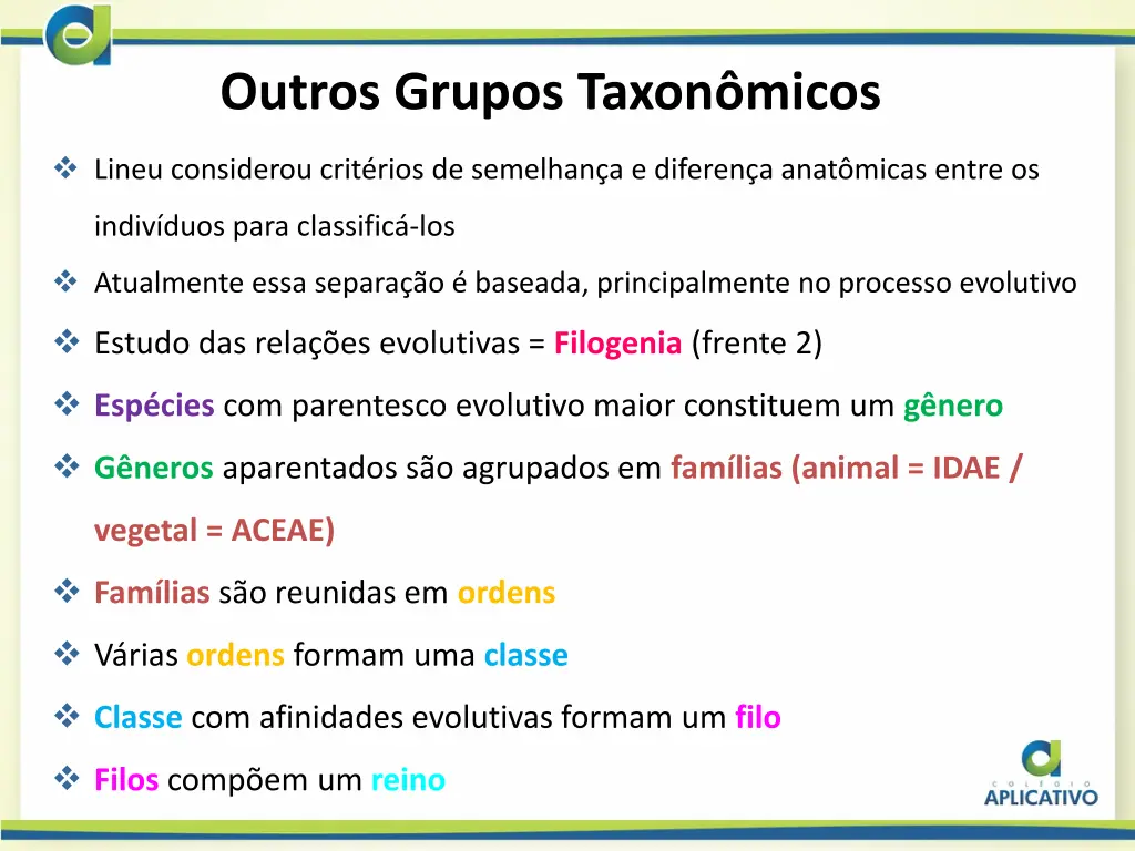 outros grupos taxon micos