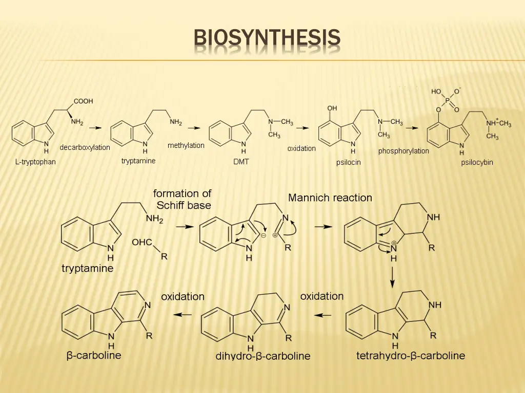 biosynthesis