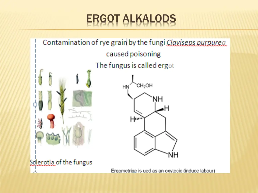 ergot alkalods