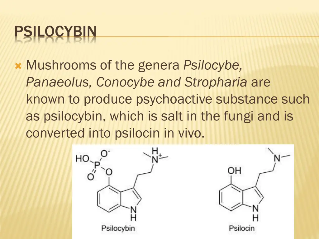 psilocybin