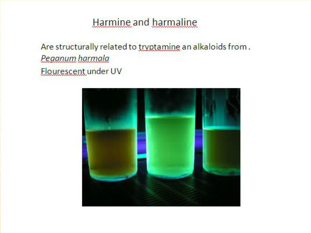 slide13
