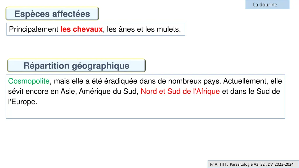la dourine 2