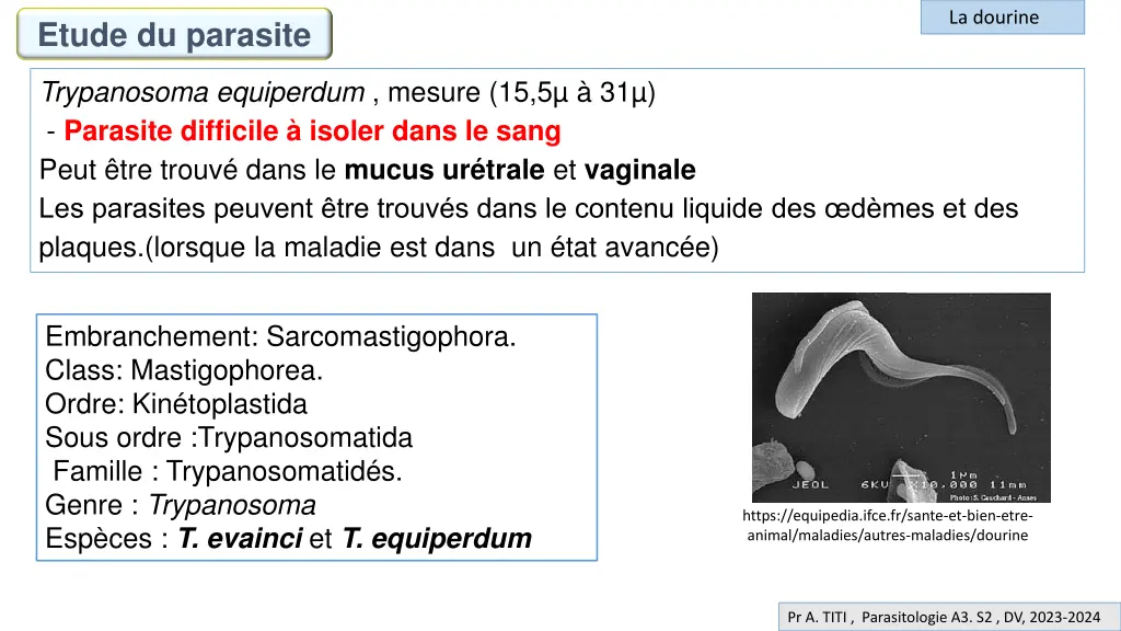 la dourine 4