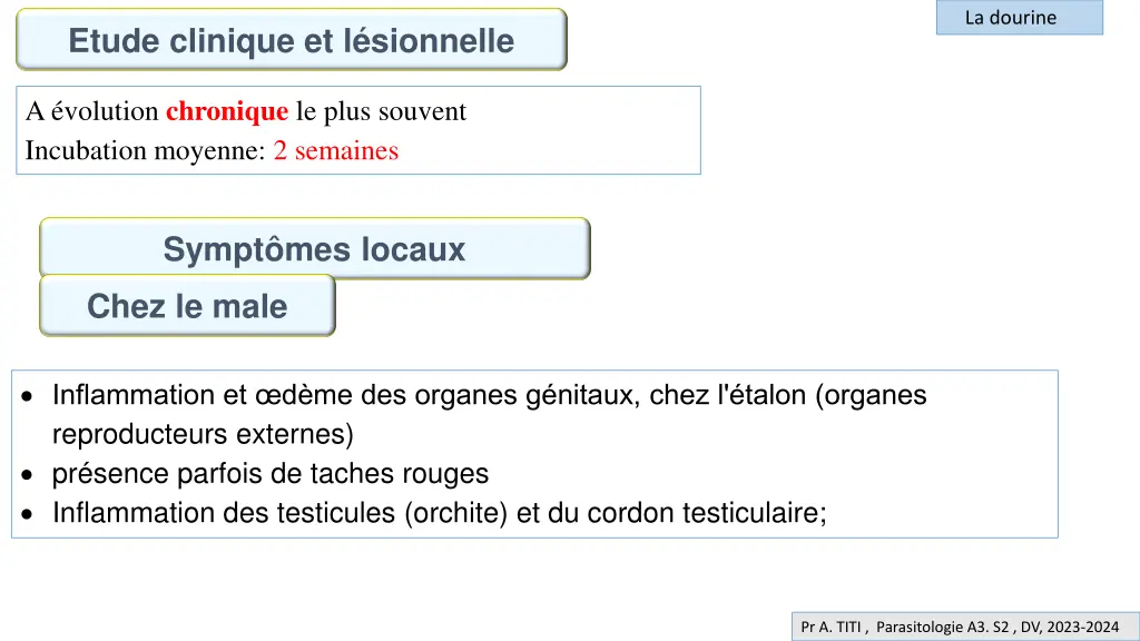 la dourine 5
