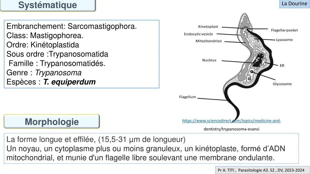 syst matique