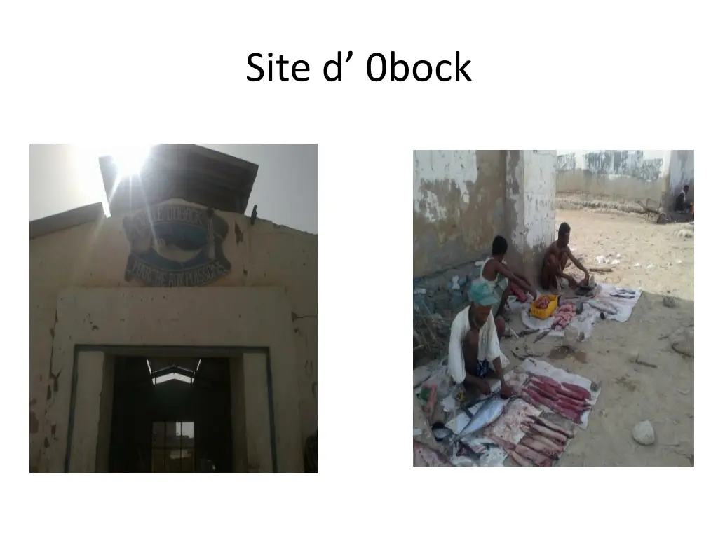 site d 0bock