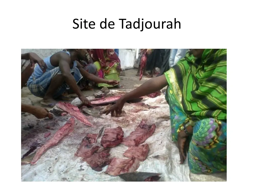 site de tadjourah