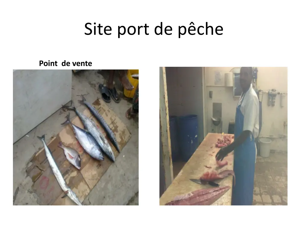 site port de p che