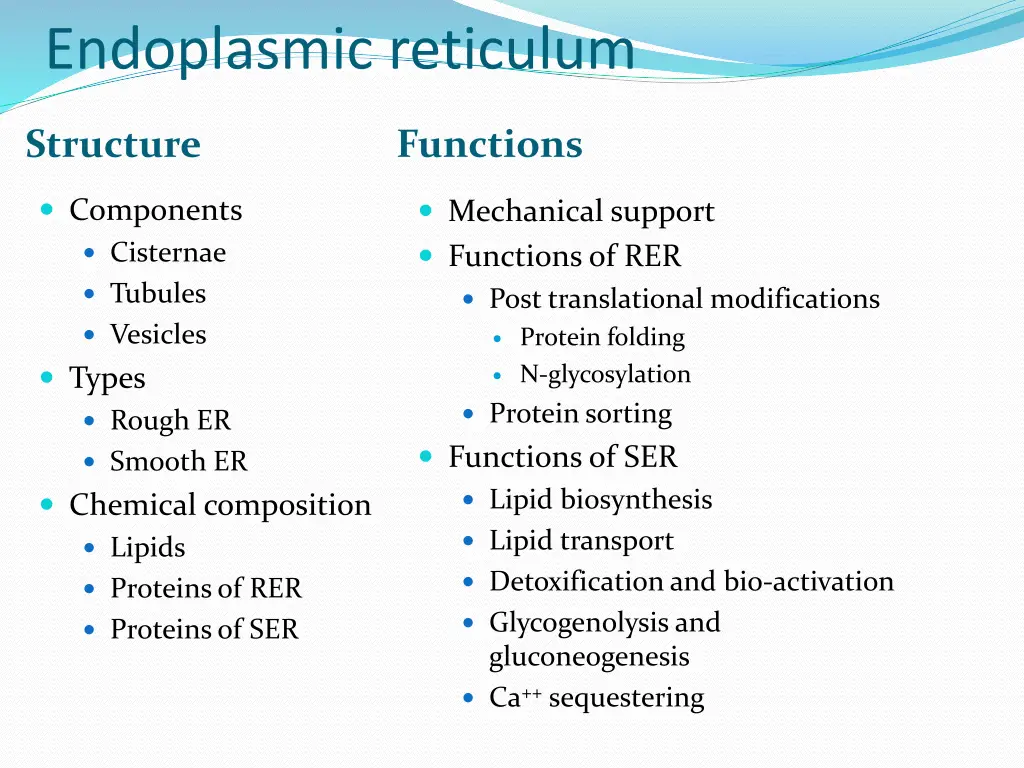 endoplasmic reticulum