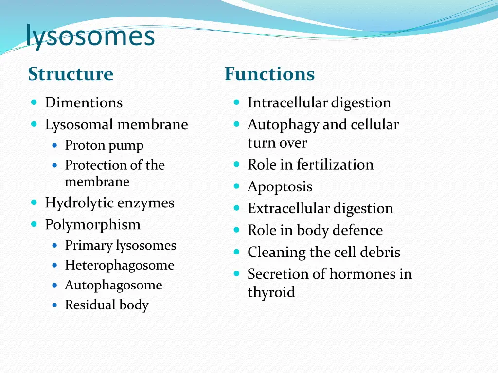 lysosomes