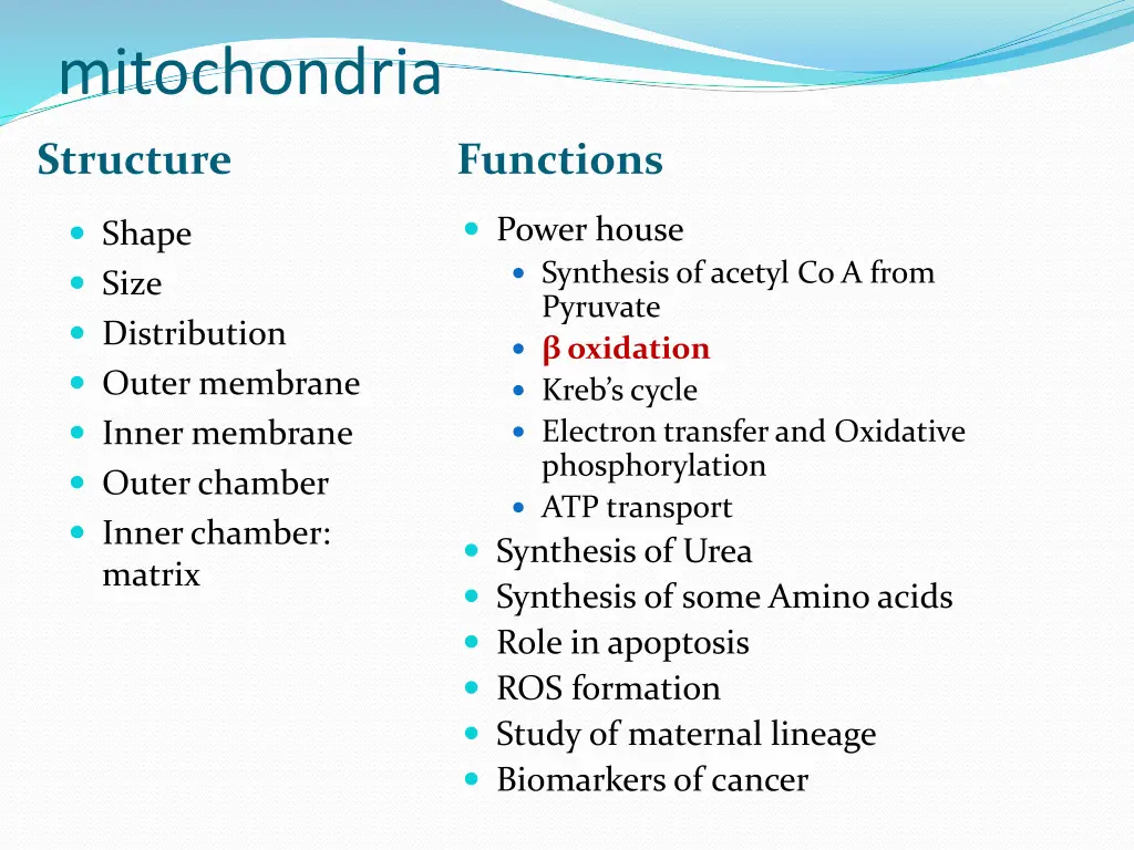 mitochondria