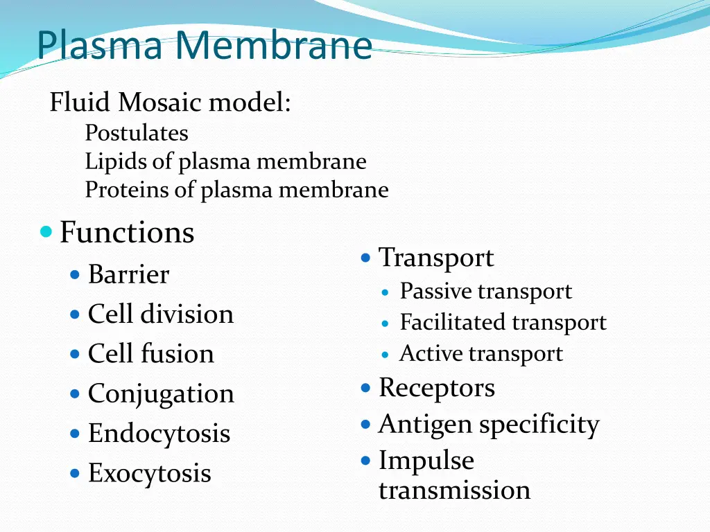 plasma membrane